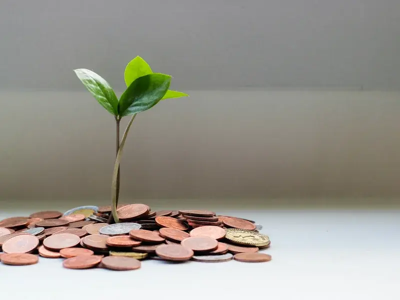Money and growth